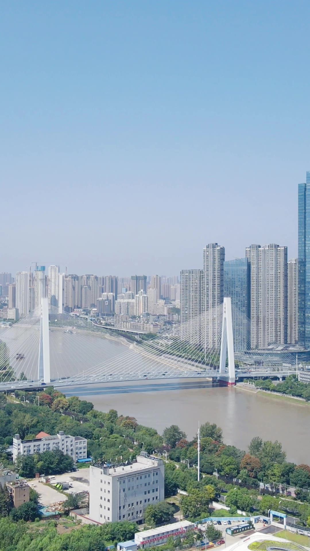 城市航拍武汉汉江月湖大桥竖屏