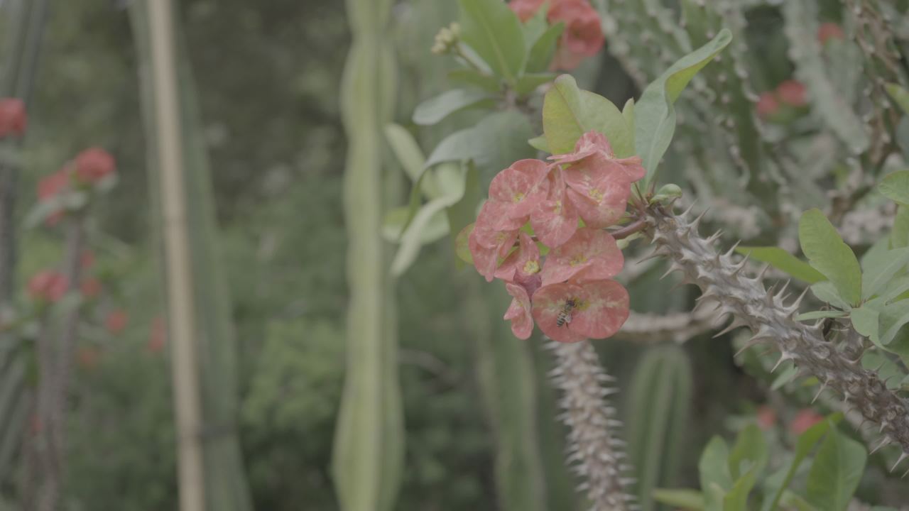 龙潭公园 1