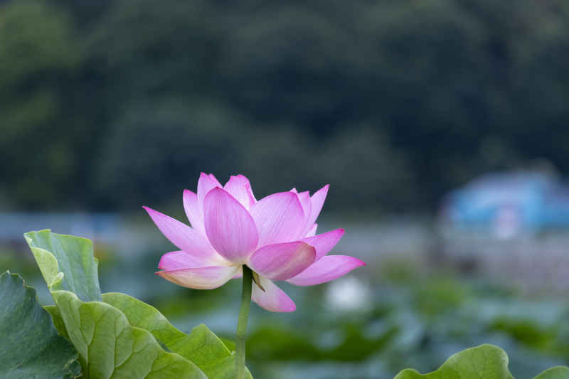 IMG_0407 拷贝