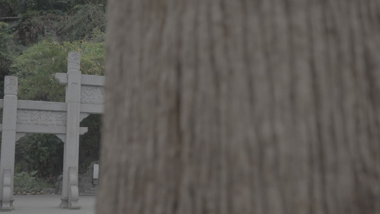 龙潭公园 33