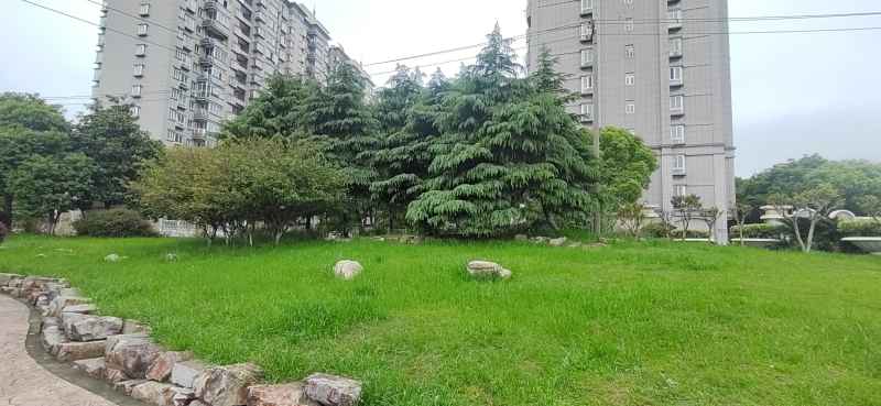 风景