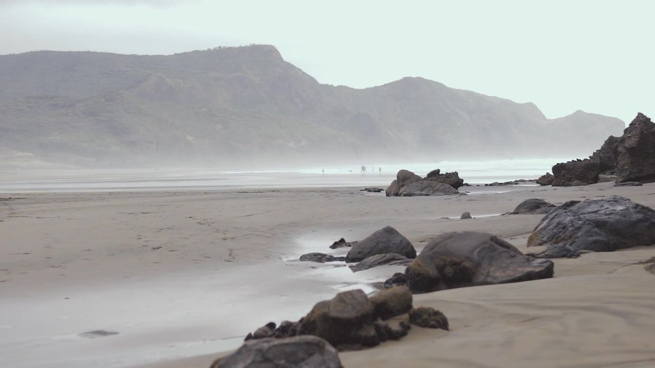 海滩奥克兰新西兰放宽