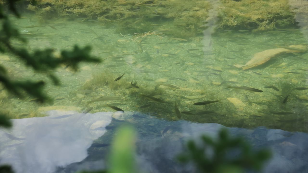 川西措卡湖唯美自然风光特色建筑