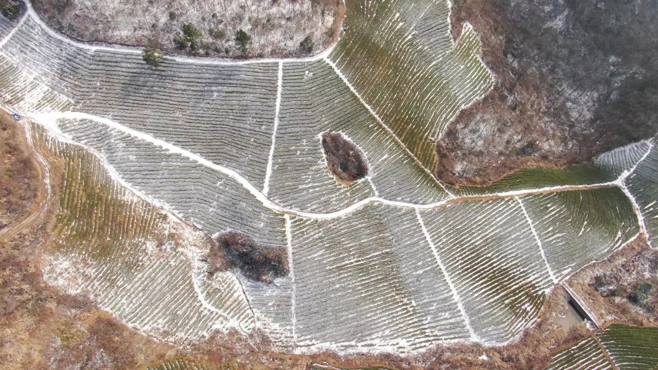 大山茶园冬天雪景航拍
