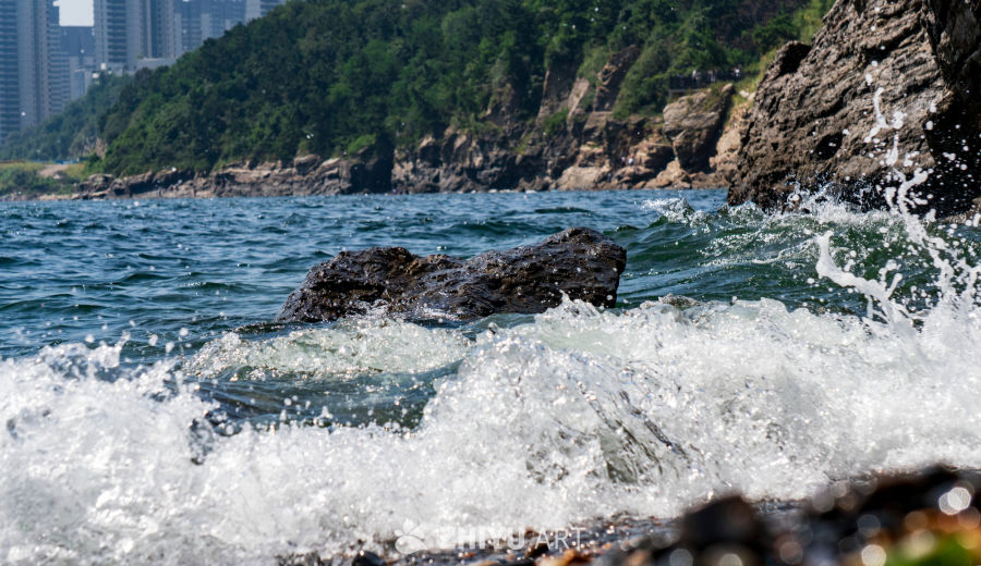 海 3