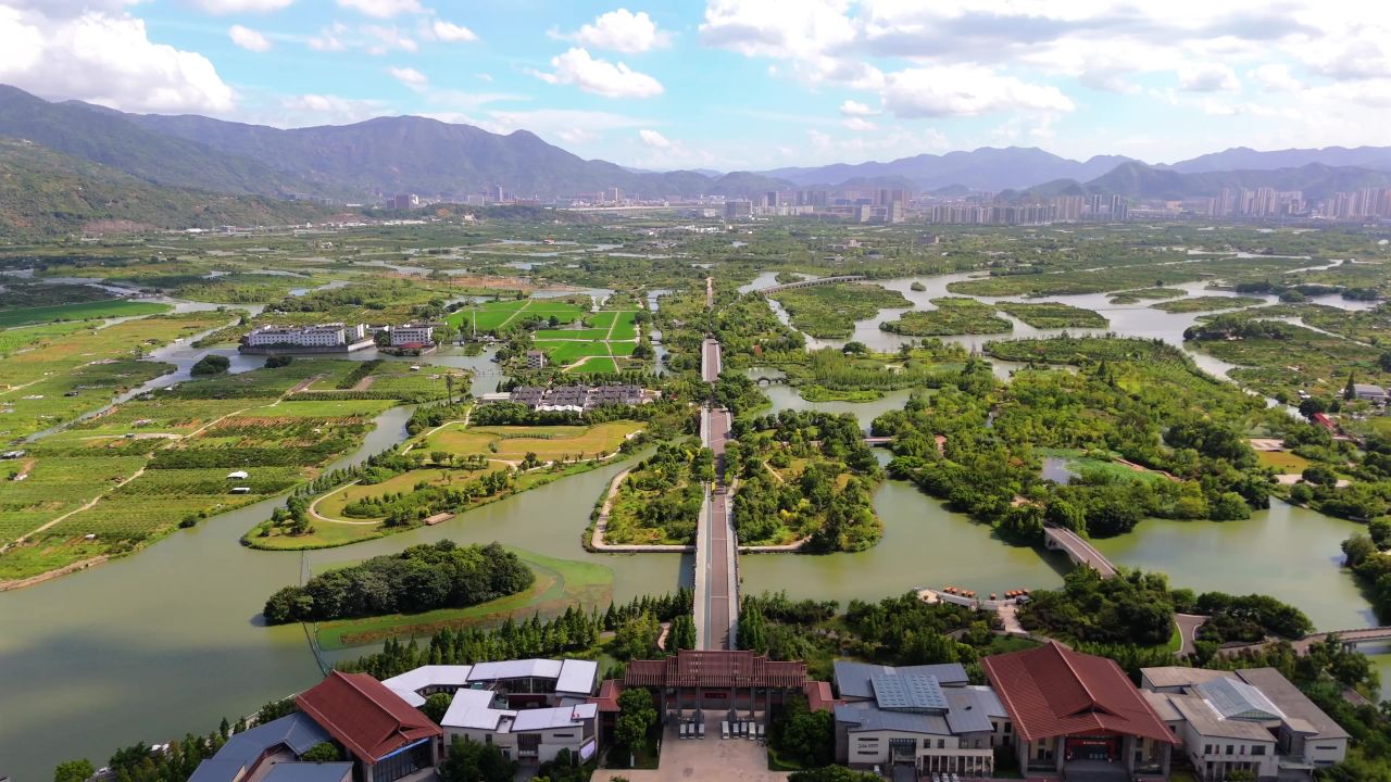 温州三垟湿地 5