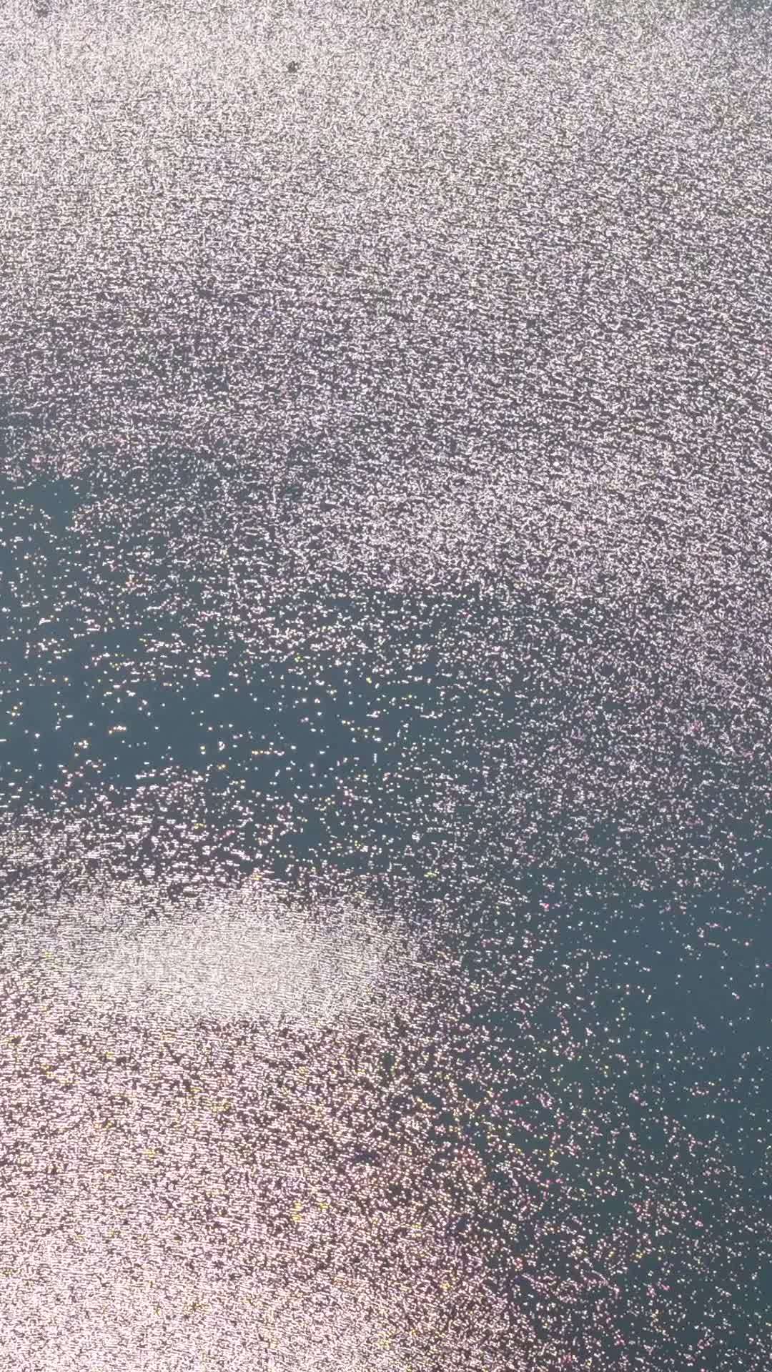 水面的光斑