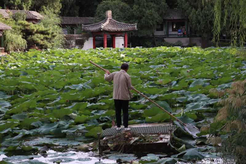 春游随拍1 8
