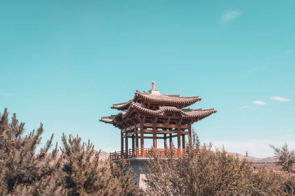 日场