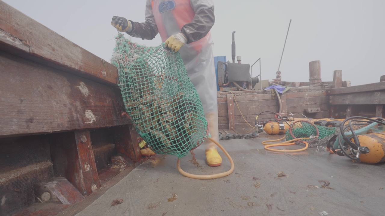 渔船捕捞海产现场