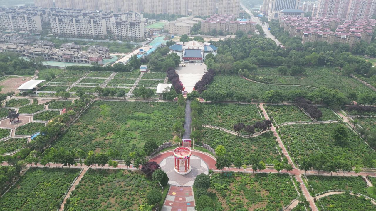  航拍山东菏泽曹州牡丹园4a景区