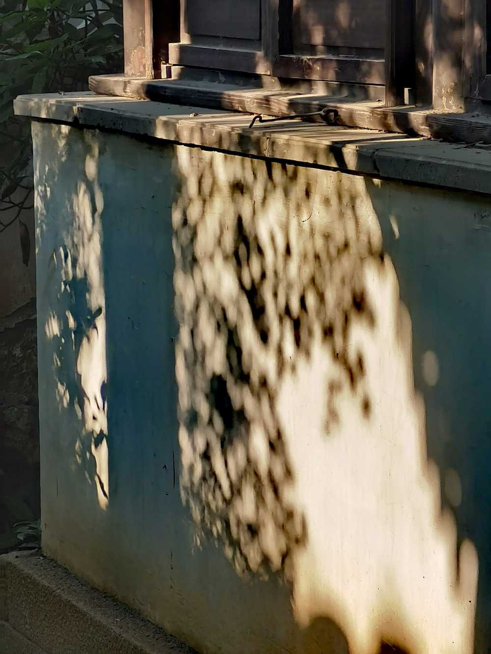 分明