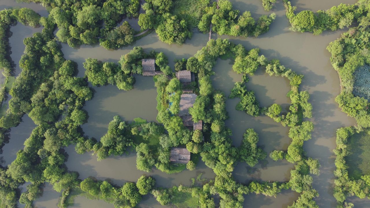 杭州西溪湿地