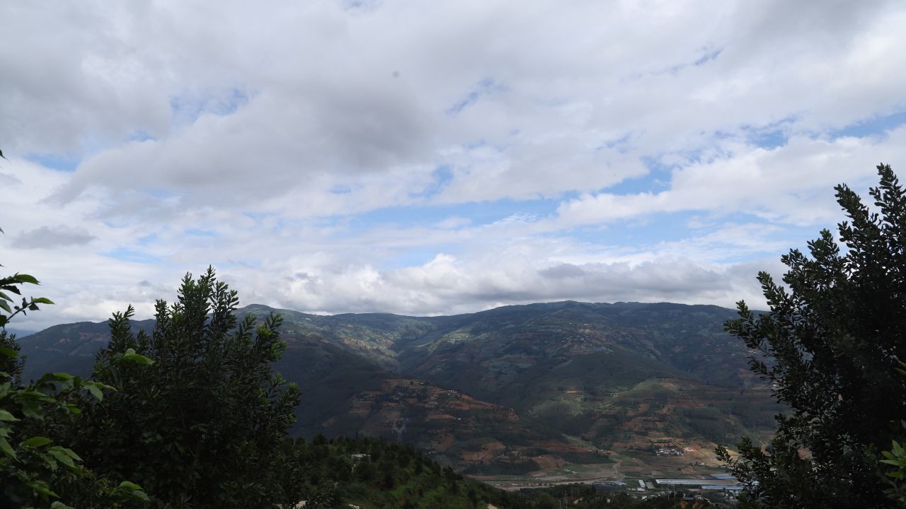 坚果基地 13