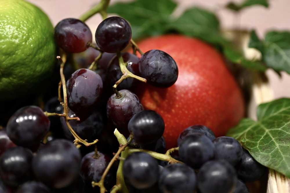 水果新鲜维生素葡萄