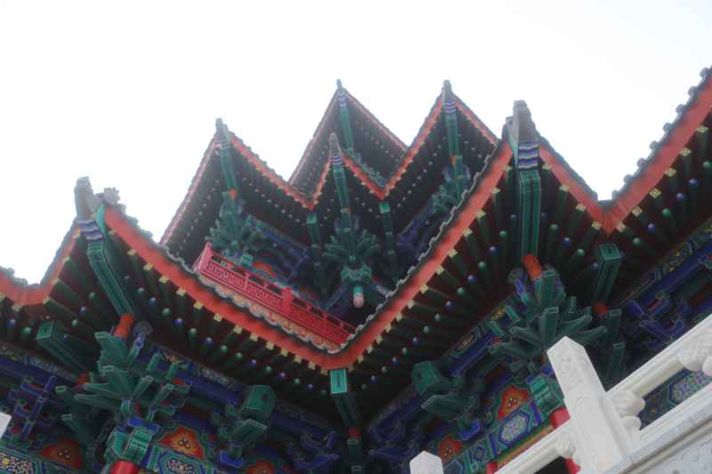 沧州扫街 45