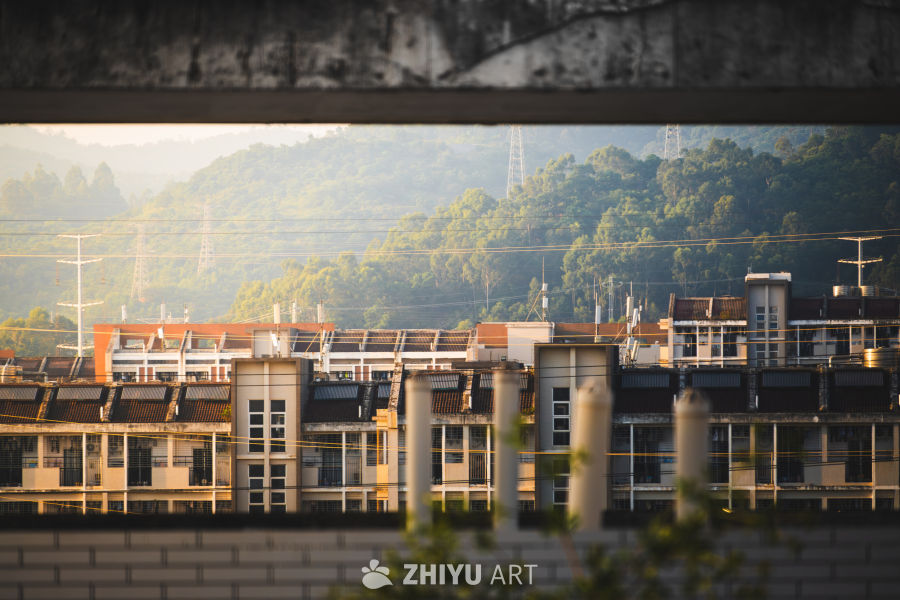 大山之中