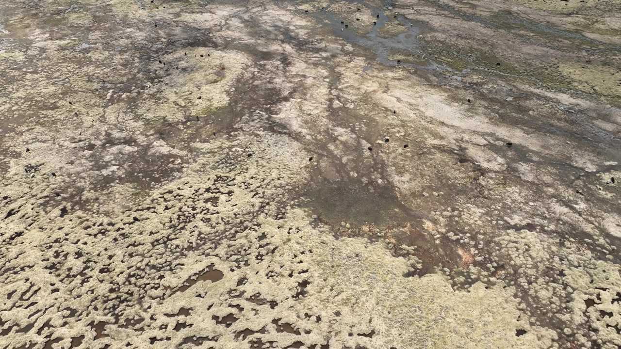 航拍西藏合集