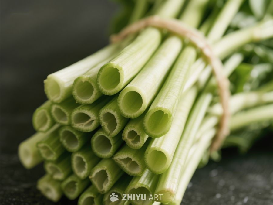 新鲜捆扎的绿色葱段 503