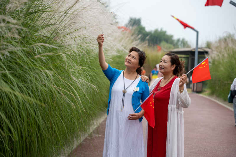 喜迎国庆 国庆 五星红旗迎风飘扬 人与自然 14