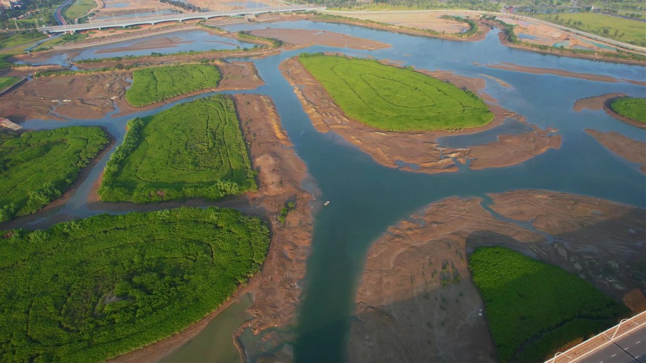 厦门航拍下潭尾湿地公园景观