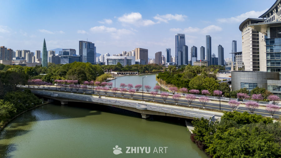 城市河畔的现代风景