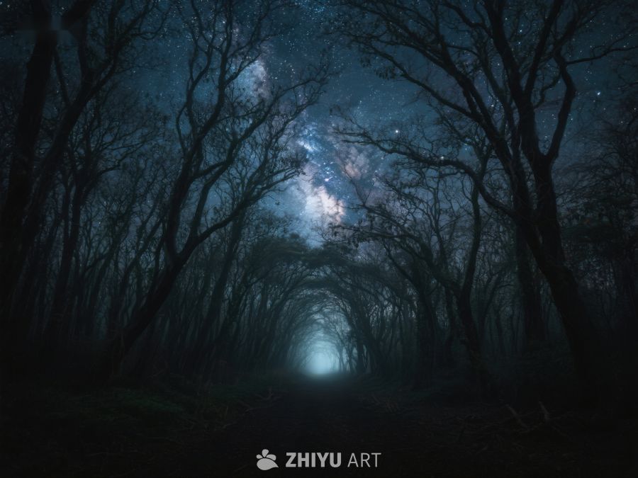 星空下的幽暗森林小径 226