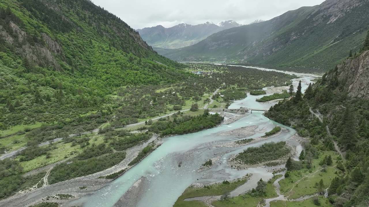 高山峡谷河流沙棘林航拍