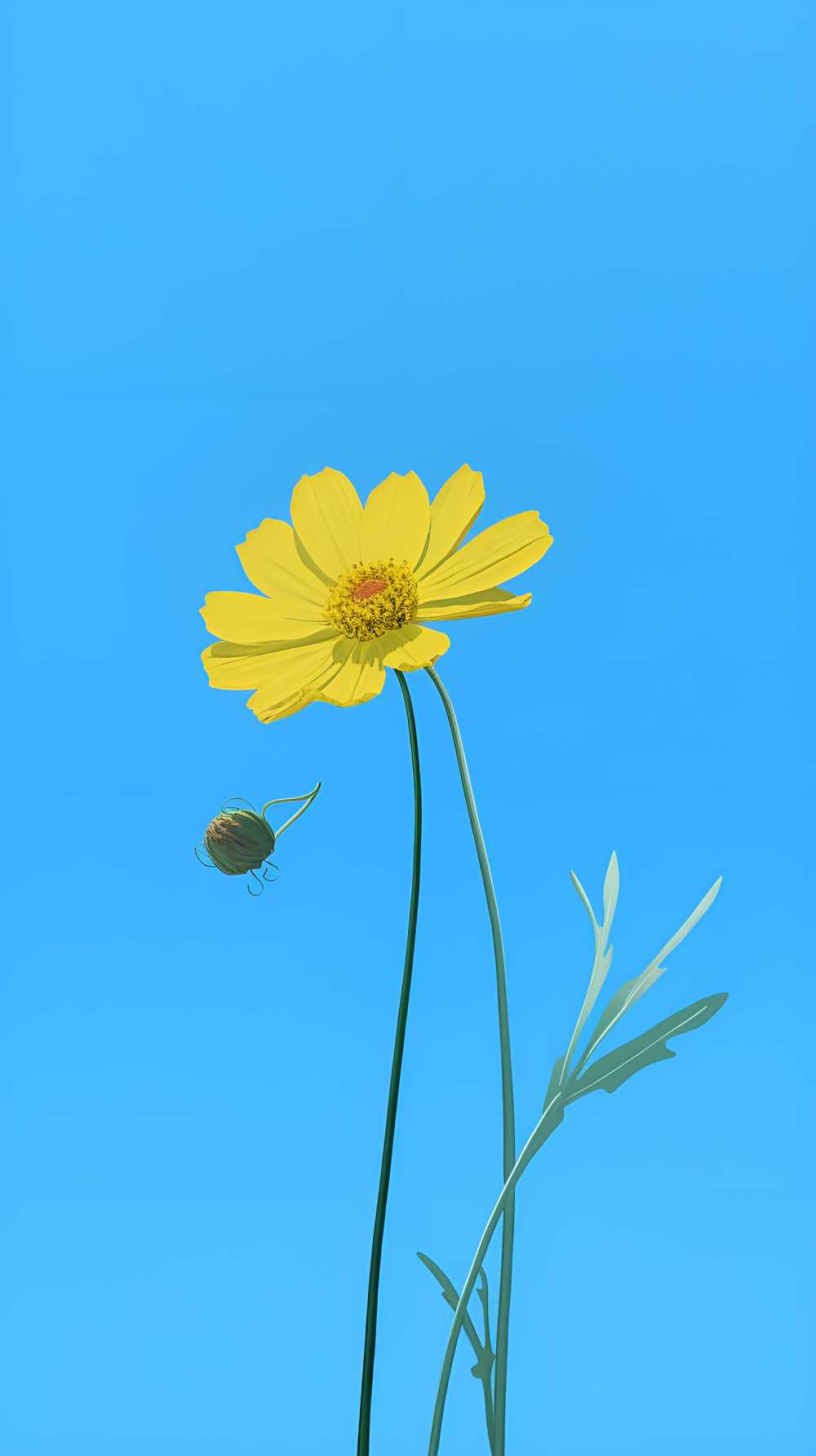 摄影图花花治愈