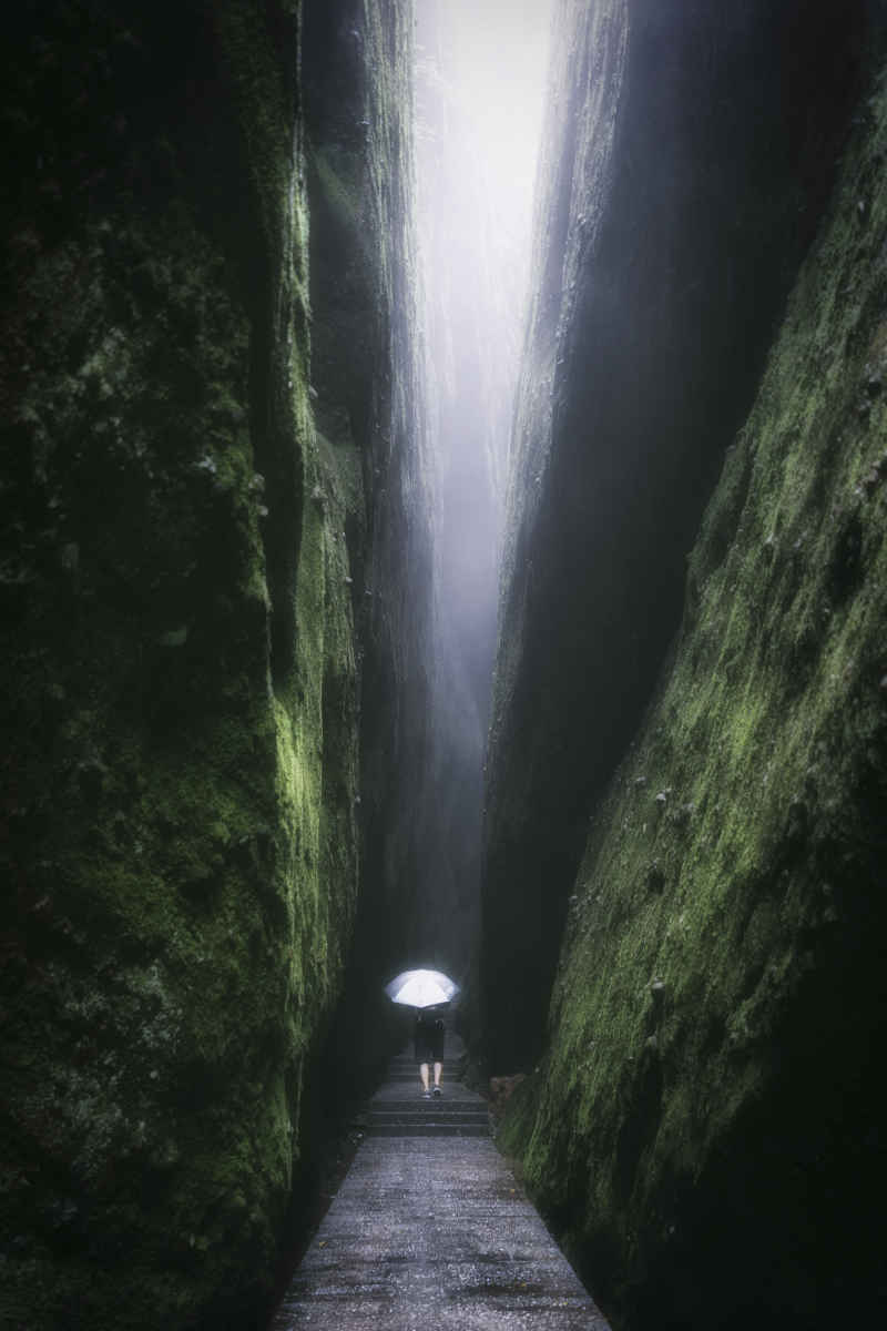 向山里走去