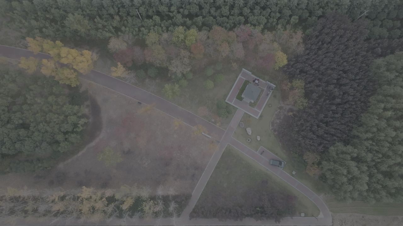 秋日森林中的静谧小屋