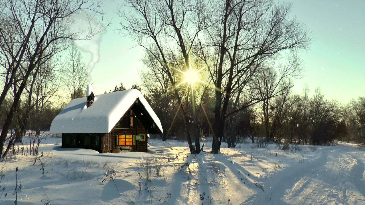 冬季在森林小木屋