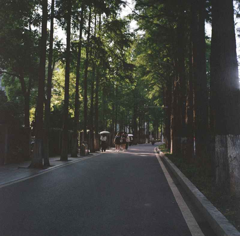 胶片