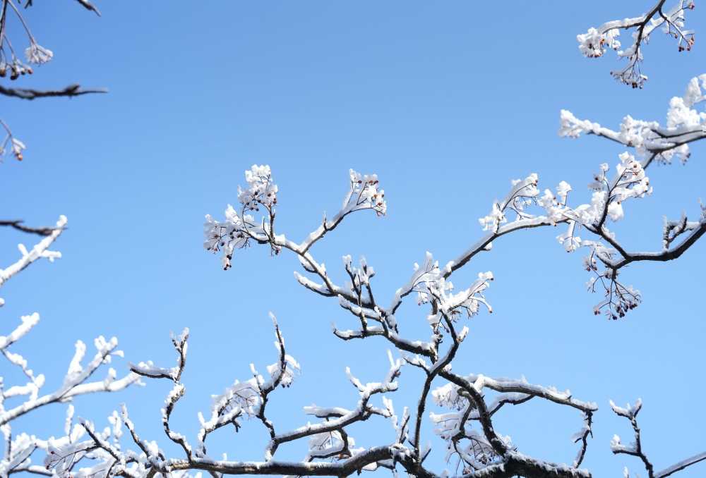 雪落黄山，雾凇云海——雪篇