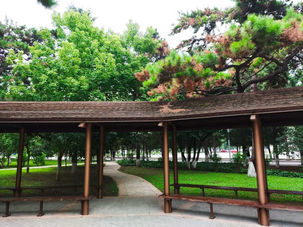 东北大学风景1