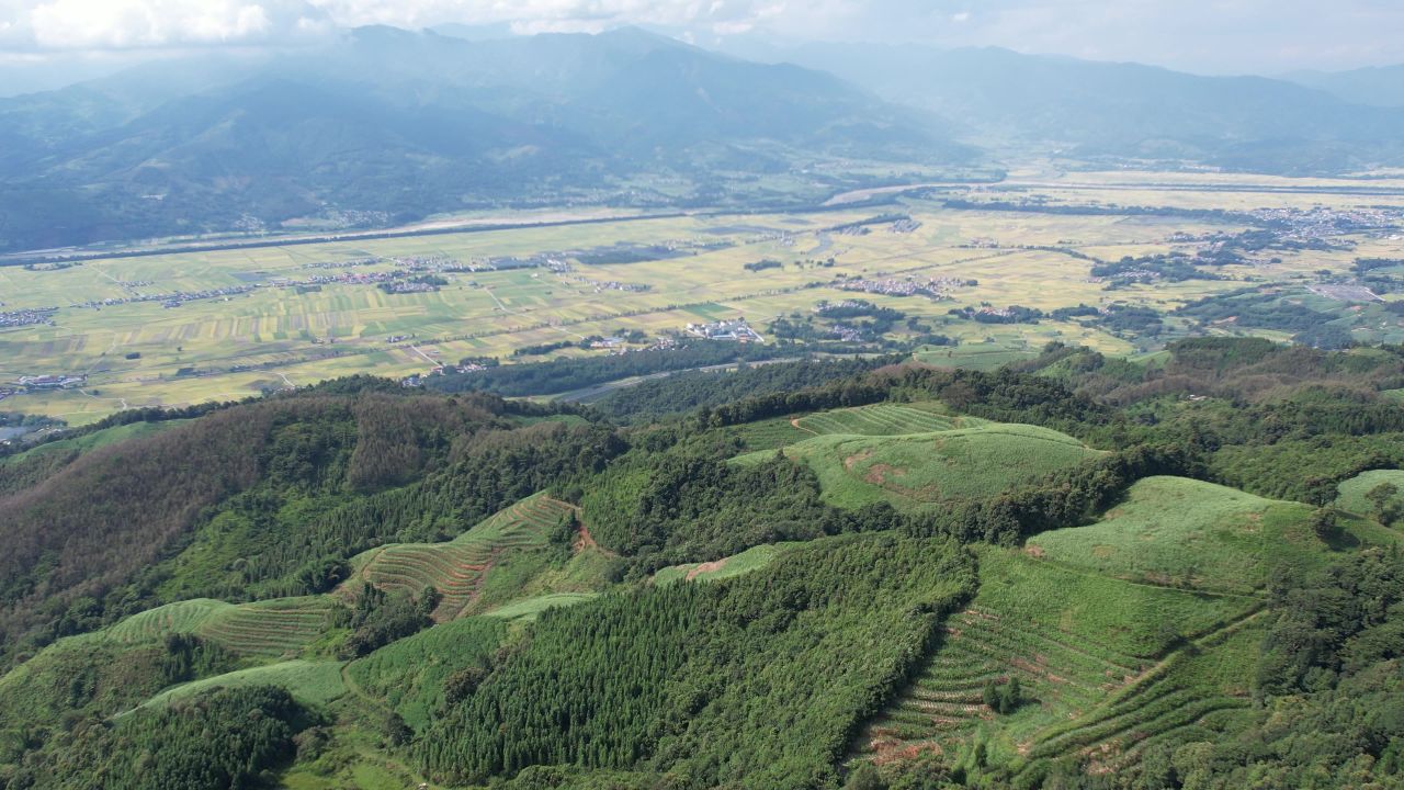 航拍高山峡谷森林平原水稻茶叶 云南盈江