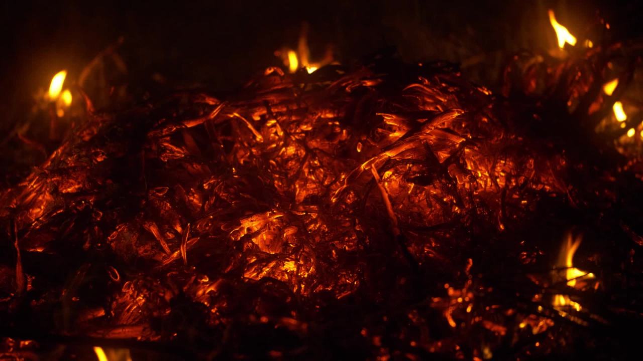 燃烧的木炭柴火篝火 44
