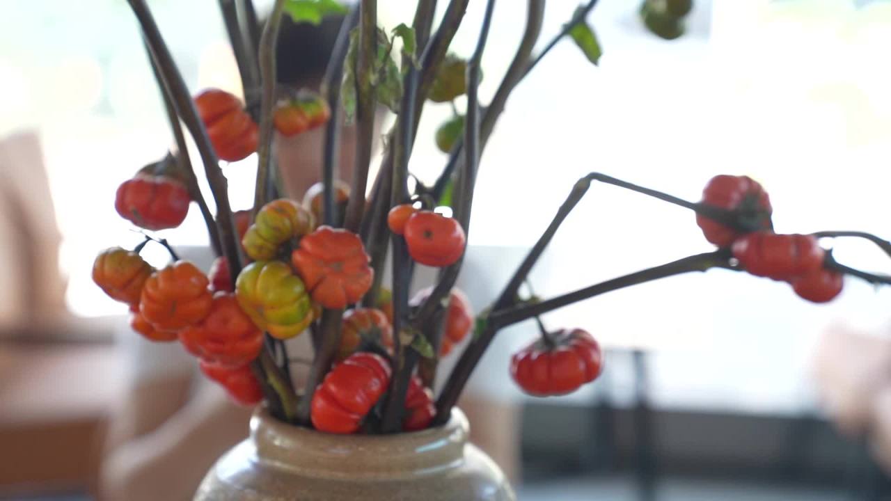 一组国风格调的文创茶咖空间空镜 14