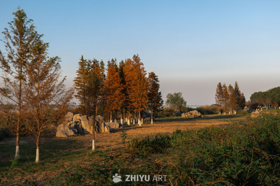 秋日湖畔静谧景