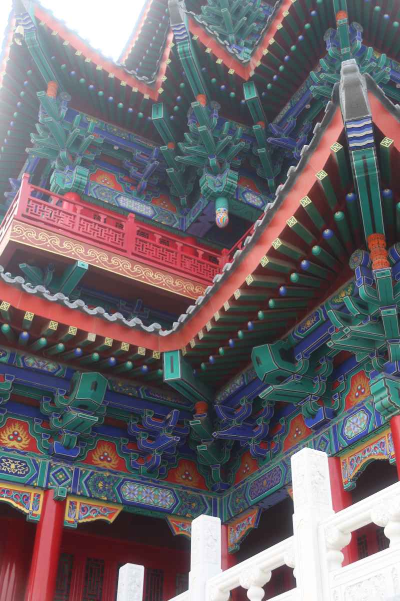 沧州扫街 44