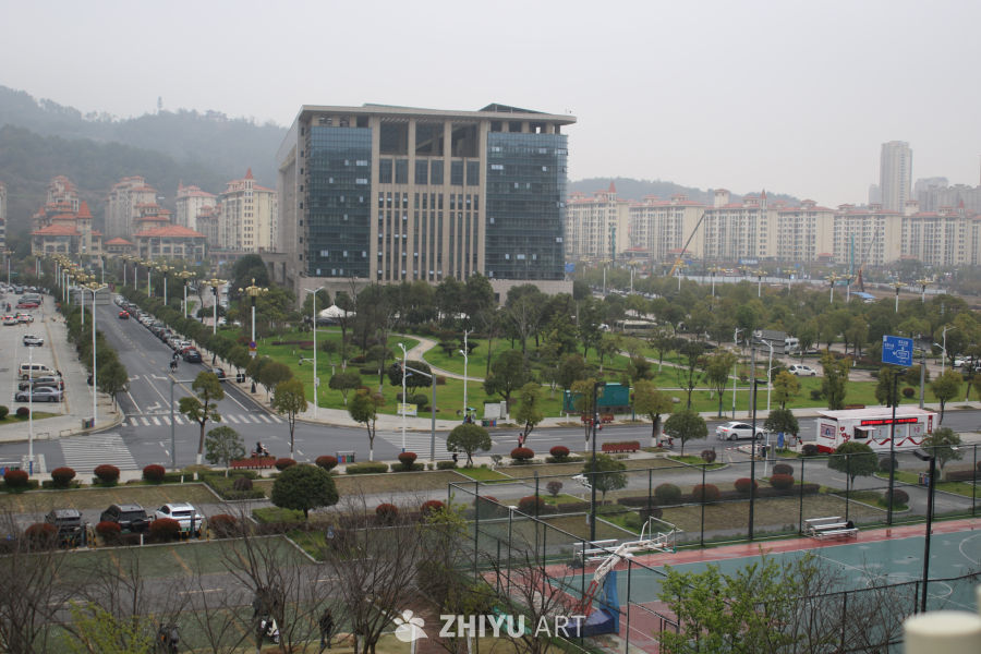 城市公园与高楼林立的景象