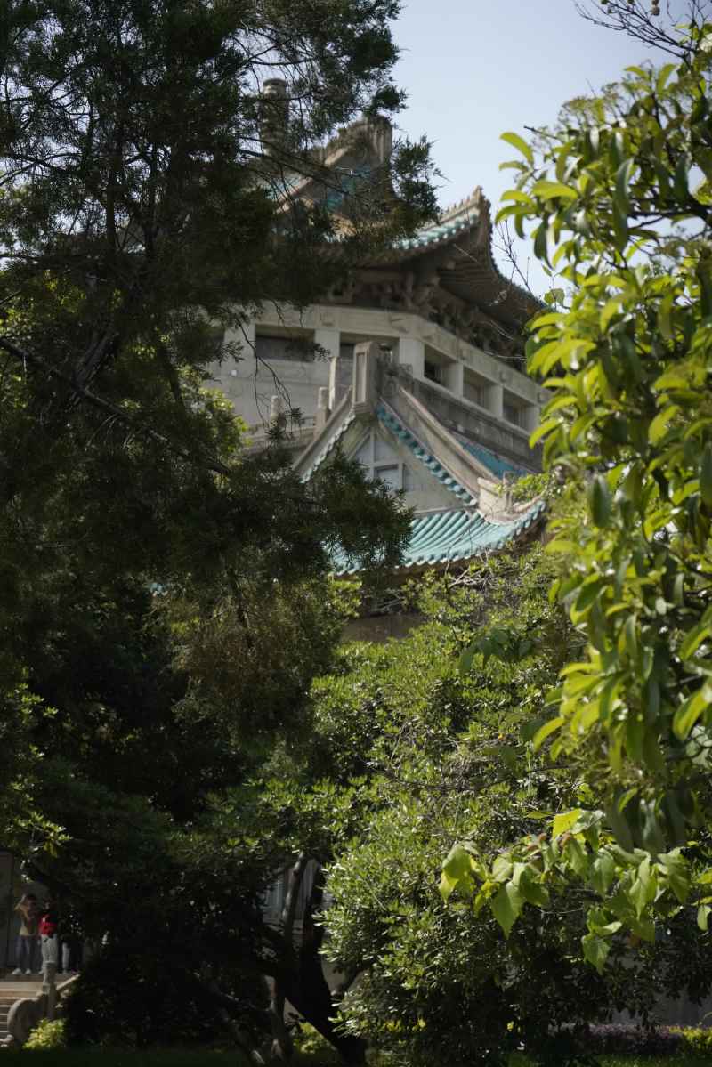 武汉大学