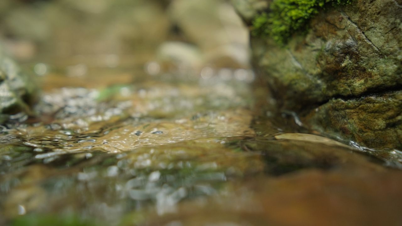 清澈山泉水温泉矿泉水小溪山涧 19