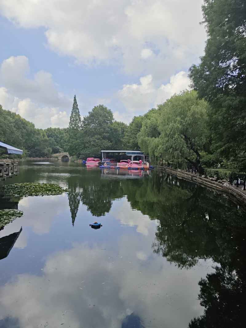 风景