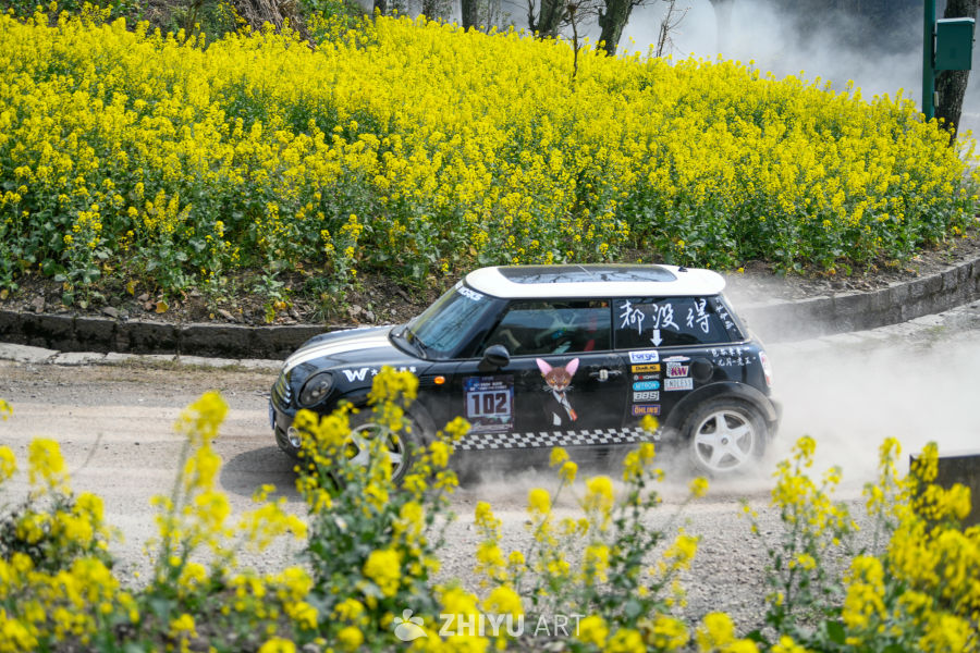 公路汽车 9