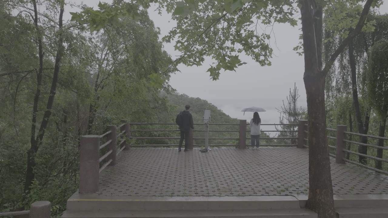 雨中情侣观景