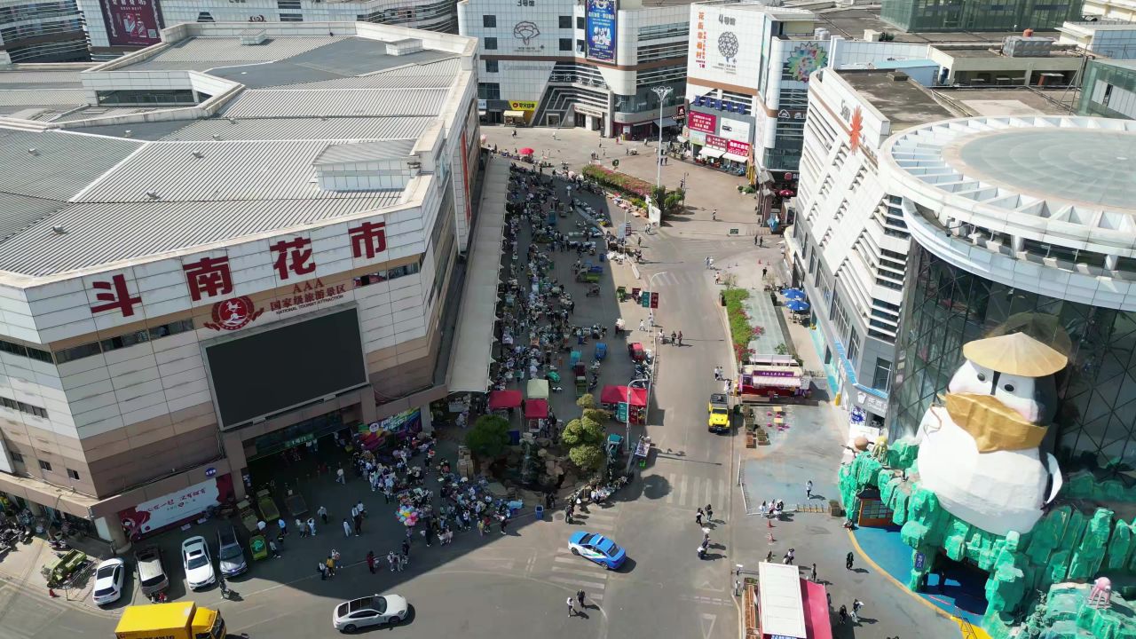  云南昆明斗南花市交易市场航拍 
