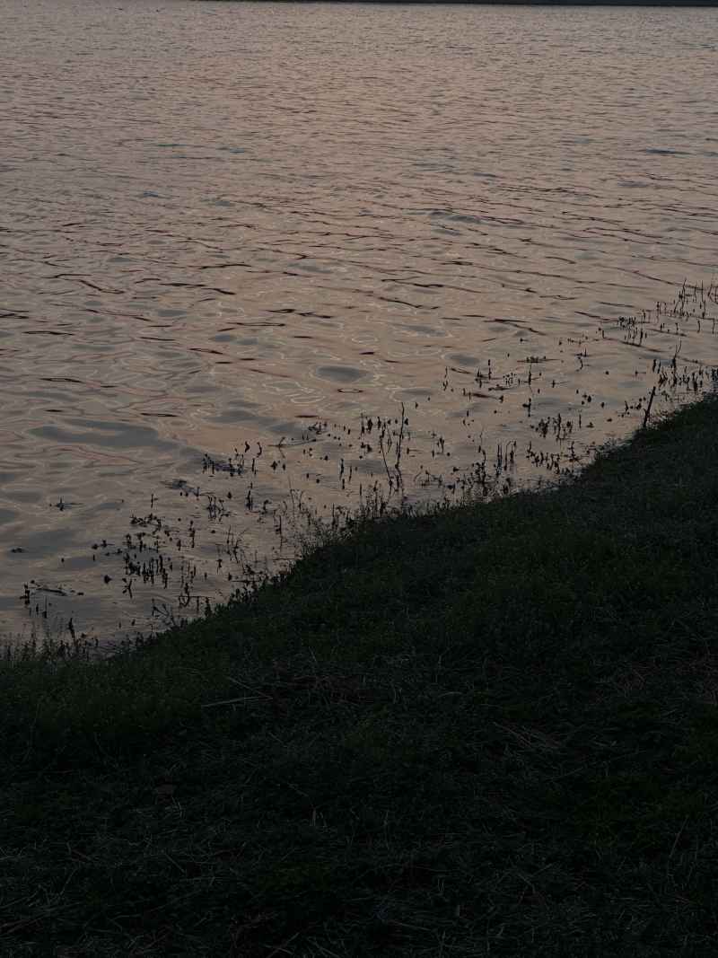 贾鲁河随拍 28