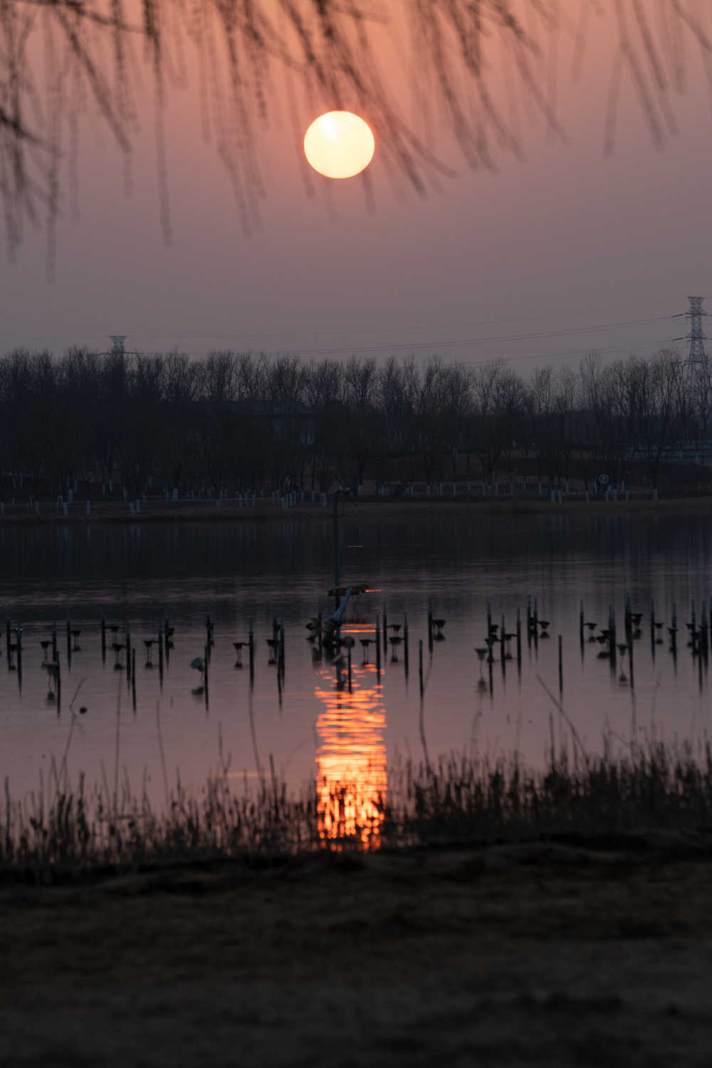 河边风景 39