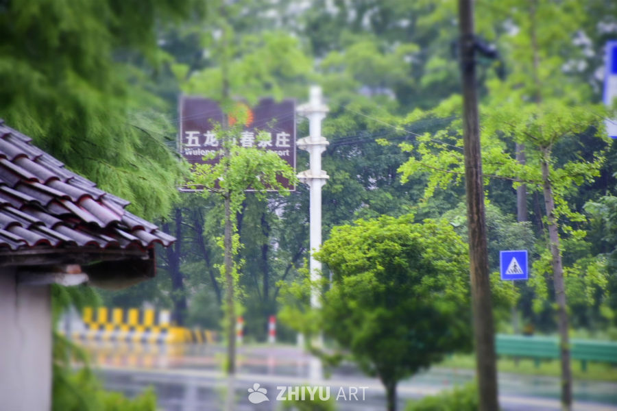 眼中的世界